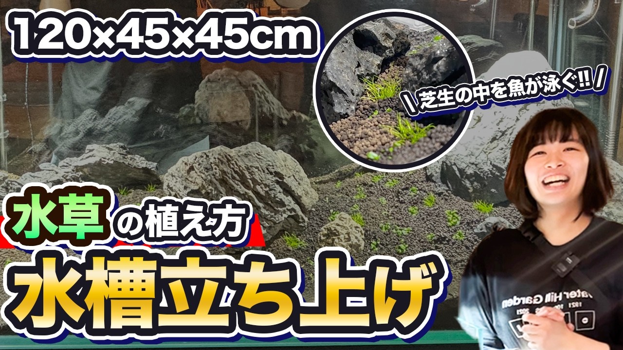 水草の選び方と植え方｜水草水槽の完成まで全公開!!【後編】【植栽】【水入れ】【360°水槽】