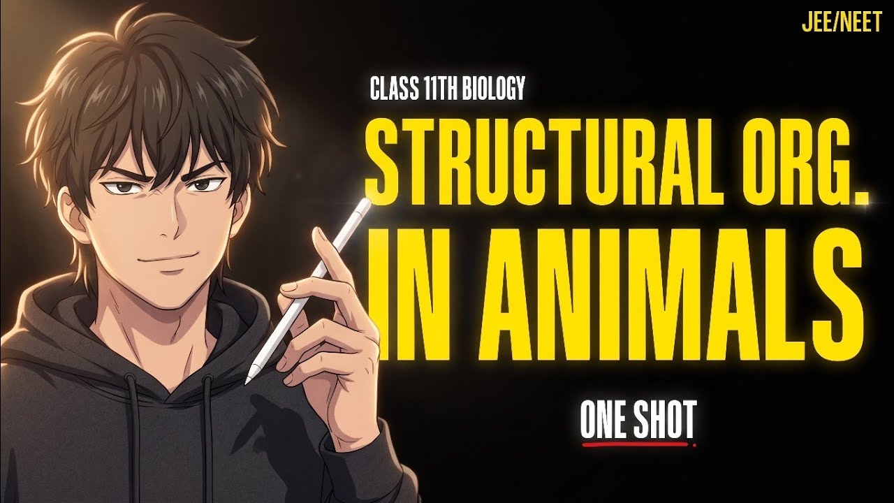 Class 11 Biology: Structural Organisation in Animals One Shot | NEET ...