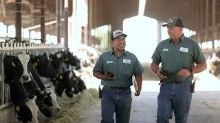 GENEX HerdMonitor at Vander Woude Dairy Profile