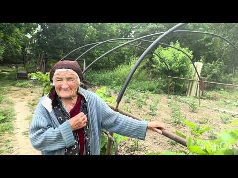 Був хутір стало село Гуняді Закарпаття Берегівщина West Ukraine 