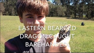 Eastern Bearded Dragon Caught Barehanded! | TAC
