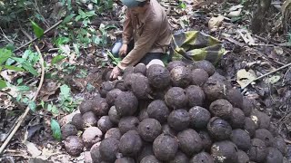 Los zafreros en Bolivia buscan mejores condiciones laborales