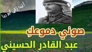 شرح قصيدة صوني دموعك + حل أسئلة الكتاب اللغة العربية الصف السابع الفصل الثاني أ. لينا زكي أبو ريا