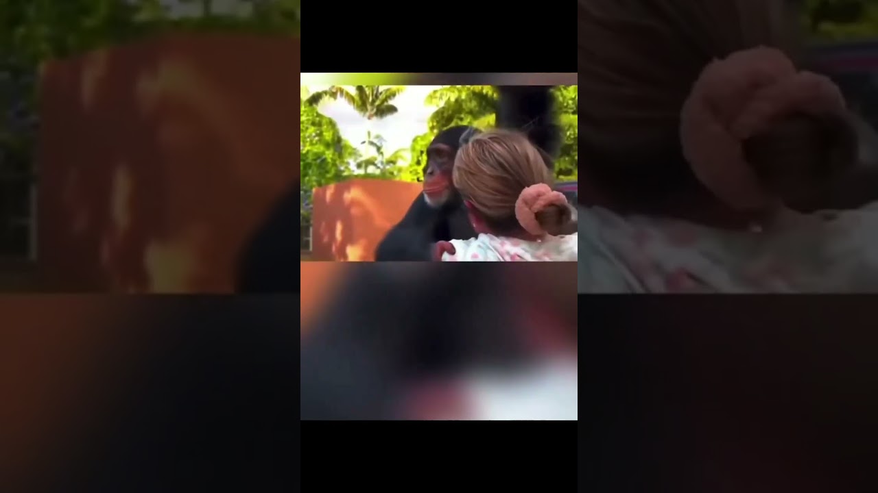 Animals reunited with owners after years 