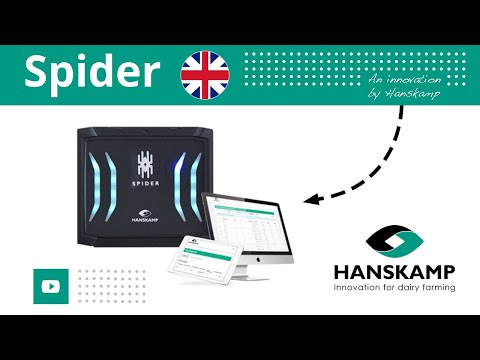 Spider feeding system | Individual feeding of dairy cattle: benefits of feeding computer | Hanskamp