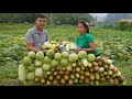 Lieu harvests the melon garden and brings it to the market to sell cook and live with her boyfriend