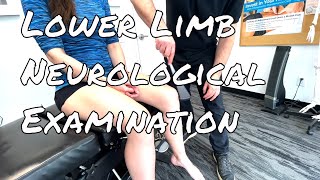 Lower Limb Neuro Examination