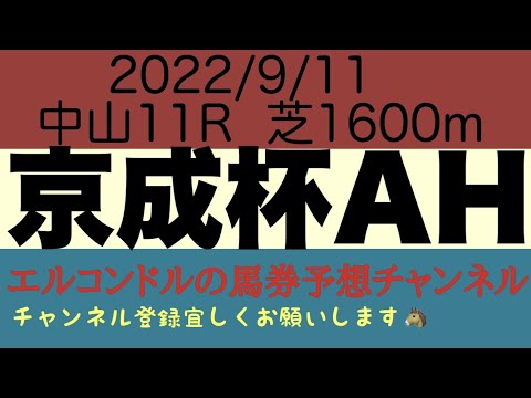 京成杯オータムハンデ2022予想！！サマーマイル最終戦！逆転を狙うベレヌスを中心に中山巧者の強者が揃い好勝負必至！ベレヌスが逃げ切れるか！？エルコンドルの馬券予想チャンネル