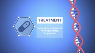RD-Connect an integrated platform for rare disease research