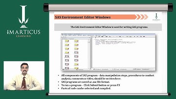 Master SAS Window Environment - CISP | Self Paced Lectures