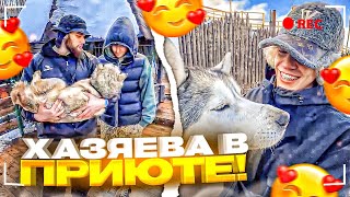 САМЫЙ МИЛЫЙ СТРИМ ХАЗЯЕВ В СОЧИ! ХАЗЯЕВА ПОСЕТИЛИ ПРИЮТ ЖИВОТНЫХ! / ПАРАДЕЕВИЧ, КОРЕШ, ГОРИЛЛЫЧ ИРЛ