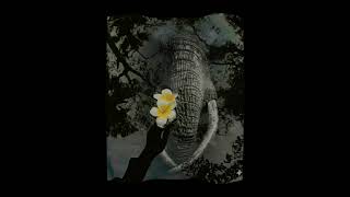 සඳස්මිත 😩💜#amawakahasa 💔😩#story #wattpadstories #love #kasthurisuwada #liversack #pabasara #nirmala😩