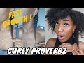 CURLY PROVERBZ SUPER HAIR GROWTH OIL REVIEW | IS IT STILL WORKING? 2 Month Update!