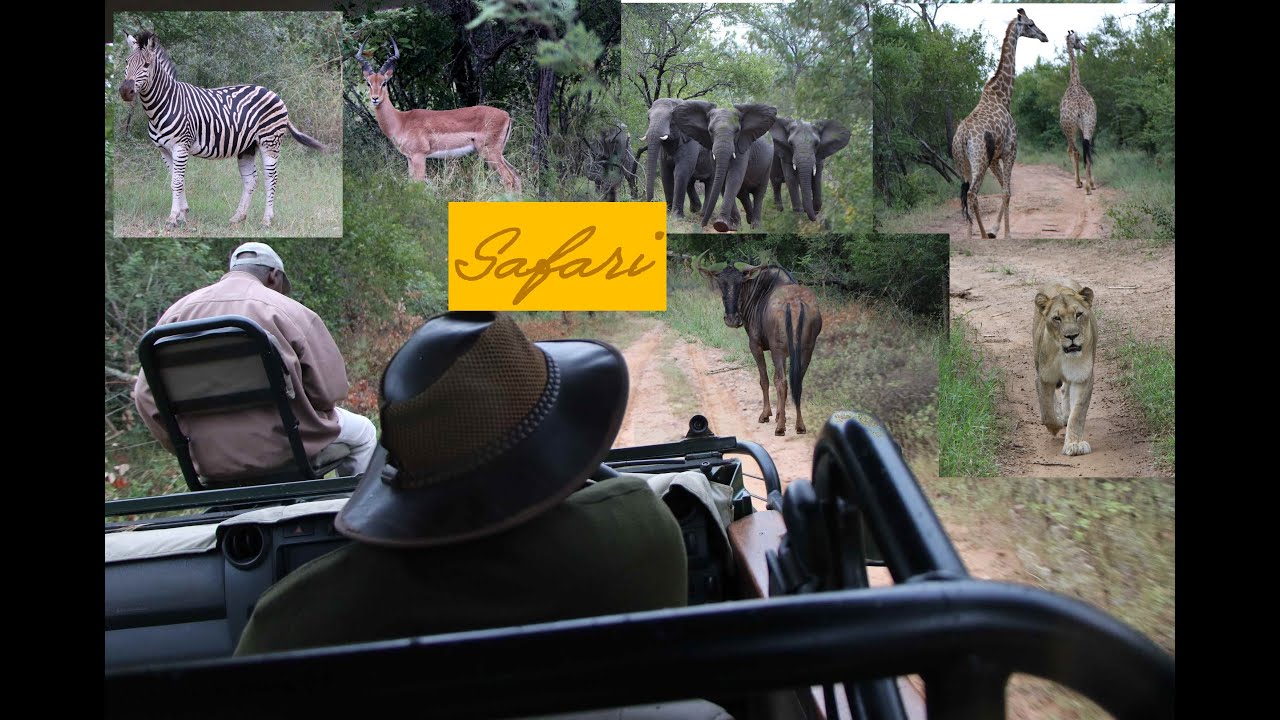 prisco crivellin, Safari fotografico al parco Kruger