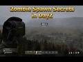 DayZ Zombie Spawns Are NOT What You Think