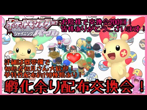 夢特性ポケモン約0種類あり 第215回目孵化余り配布交換会 渡せるポケモン アイテムの詳細は概要欄にて ポケモンbdsp Youtube