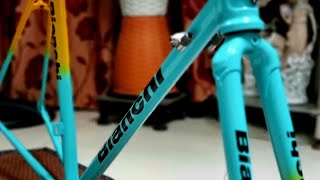 Marco Pantani inspired Bianchi