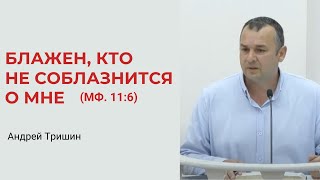 Андрей Тришин. Блажен, Кто Не Соблазнится О Мне