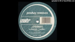 Appollo 69 - Mindgaterz (Peshay remix) (Creative Source 022)