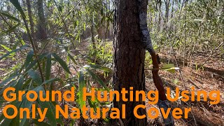 Hunting on the Ground Using Only Natural Cover