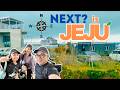 JAPAN TRAVEL VLOG EP-10 NEXT IS JEJU ISLAND 🇰🇷 | OLLE LOCAL MARKET & KOREAN BBQ JEJU BLACK PORK