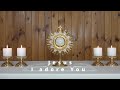 🙏Jesus, I adore You!🙏Five Minutes with Jesus in the Blessed Sacrament🙏Holy Eucharist