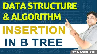 #29 B Tree Insertion  - Data Structure and Algorithms Course