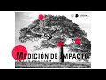 Fundamentos de la medición y evaluación de impacto