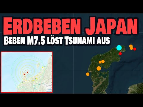 Schweres Erdbeben M7.5 in Japan - TSUNAMI