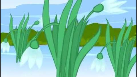 Allama Iqbal || Mera Iqbal 3: Aik Arzoo - میرا اقبال۳: ایک آرزو