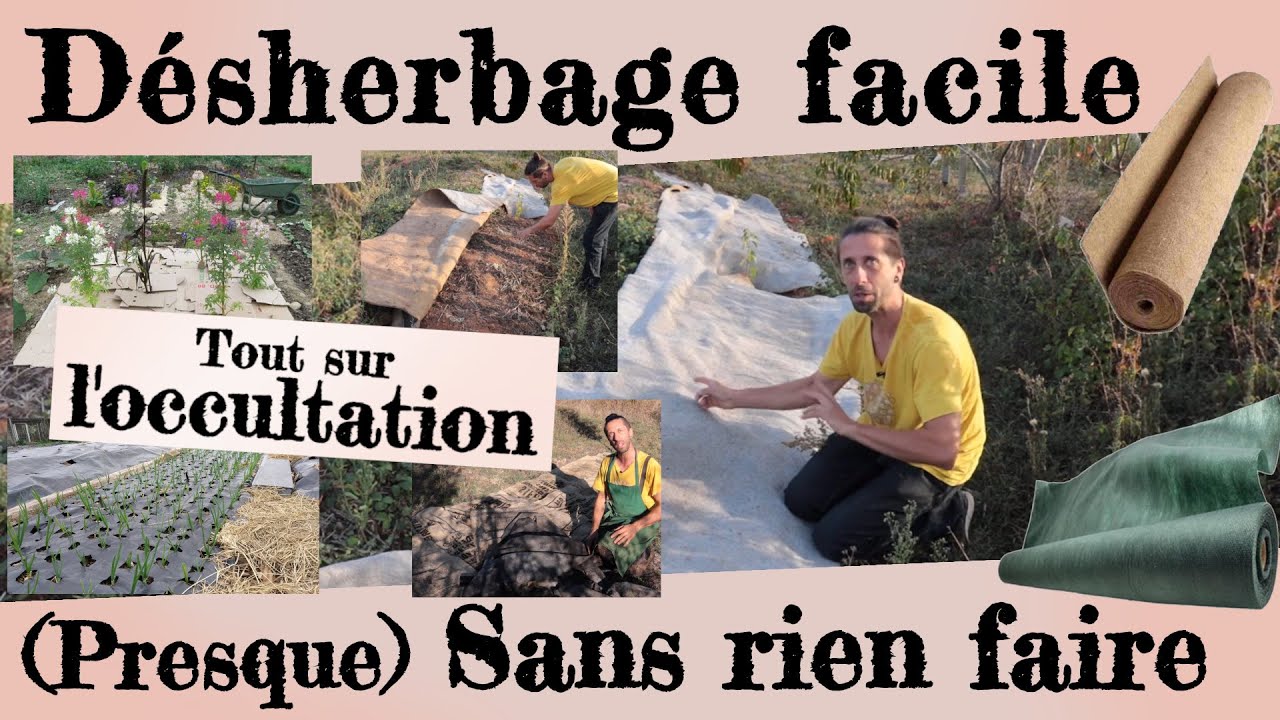 Un désherbage facile et (presque) sans rien faire... l’occultation !