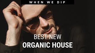 When We Dip Organic House Best New Tracks 2022-12-03 Resimi