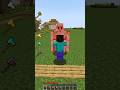 All Axe vs Iron Golem?  #minecraft