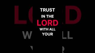 Trust God Over Your Own Understanding | Proverbs 3:5-6