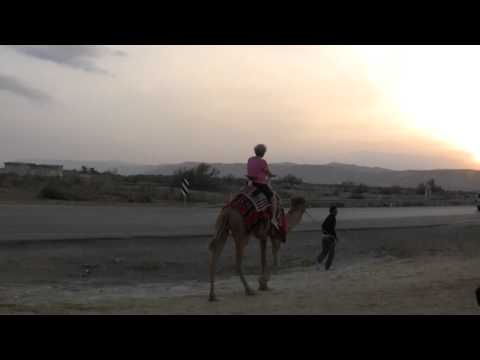 Phyllis riding Charlie the camel