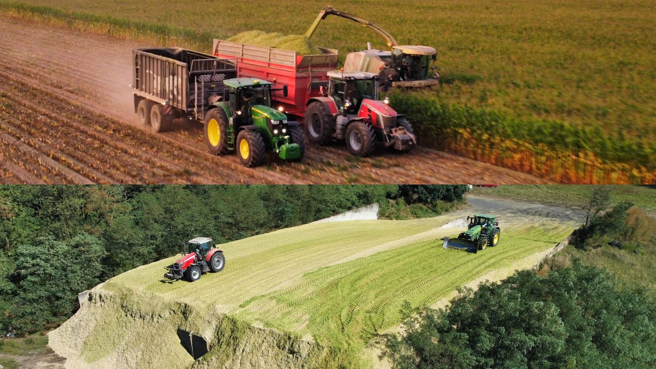🇵🇱KUKURYDZA NA BGA🇵🇱 😍JEDYNA TAKA AKCJA ‼️  KRONE , JOHN DEERE , MASSEY FERGUSON 2️⃣0️⃣2️⃣3️⃣