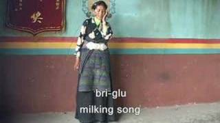 porong1