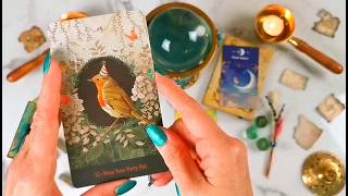 ARIES "AN OCCASSION TO CELEBRATE - THE SPARK HAS BEEN LIT!!!" NEW MOON TAROT READING