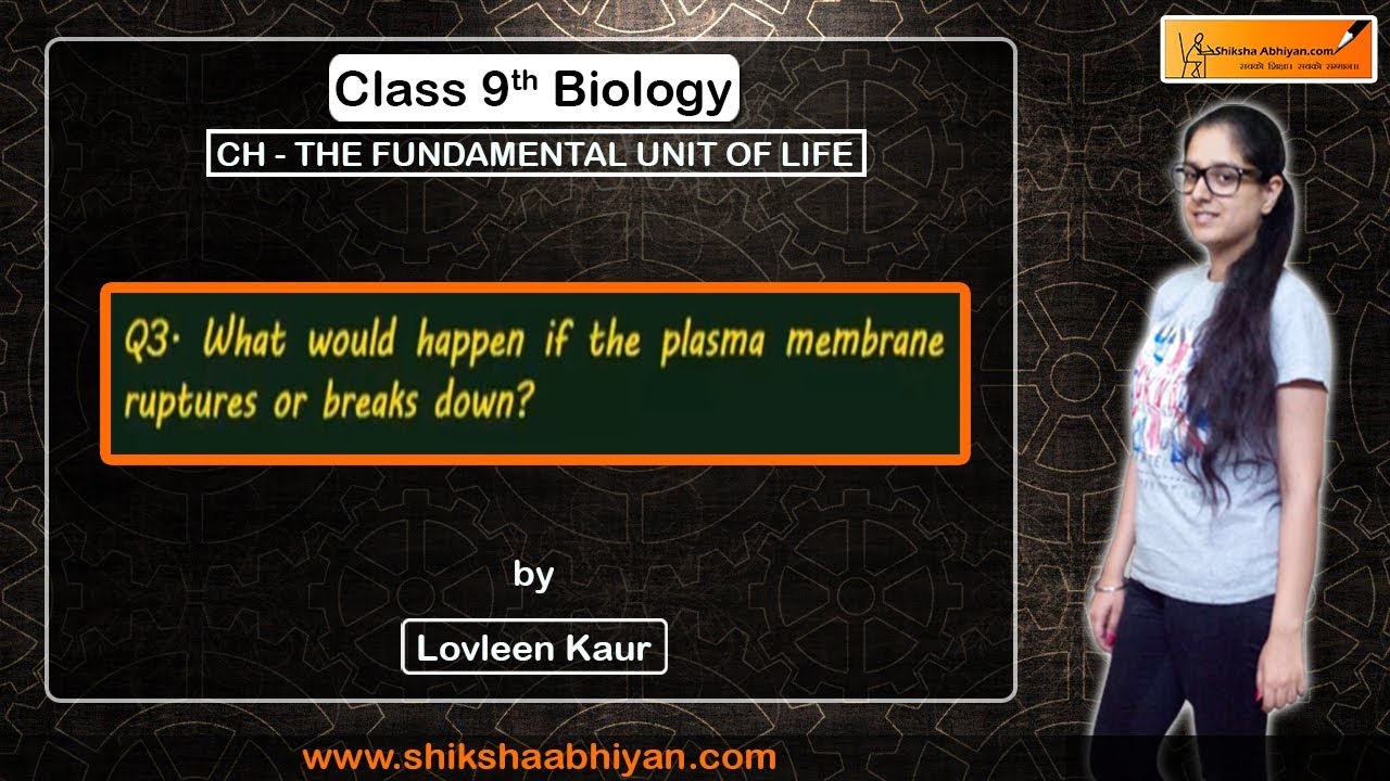 Q3 What Will Happen If The Plasma Membrane Ruptures Or Breaks Down
