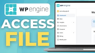 How To Access File Manager On Wp Engine (2025)