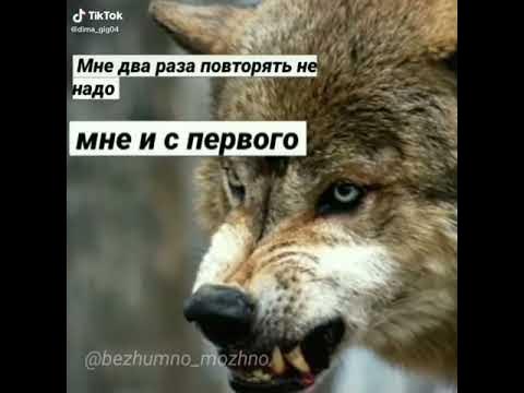 мне два раза повторять не надо мне и с первого похуй - YouTube