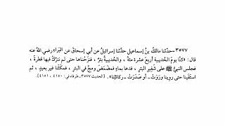 حديث نا يوم الحديبية أربع عشرة مائة والحديبية بئر فنزحناها حتى لم نترك فيها قطرة | صحيح البخاري