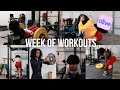 WEEK OF WORKOUTS using the ALIVE app! My Current Split for Weightlifting