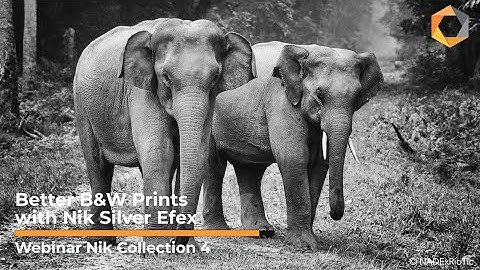 Webinar Nik Collection 4: Better B&W Prints with Nik Silver Efex
