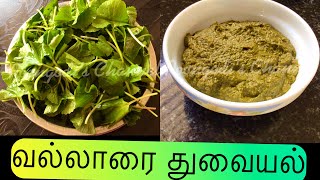 ஞாபக சக்திக்கு வல்லாரைக் கீரை துவையல் |Brahmi Chutney for Memory | ब्राह्मी चटनी| Poongodi’s Channel