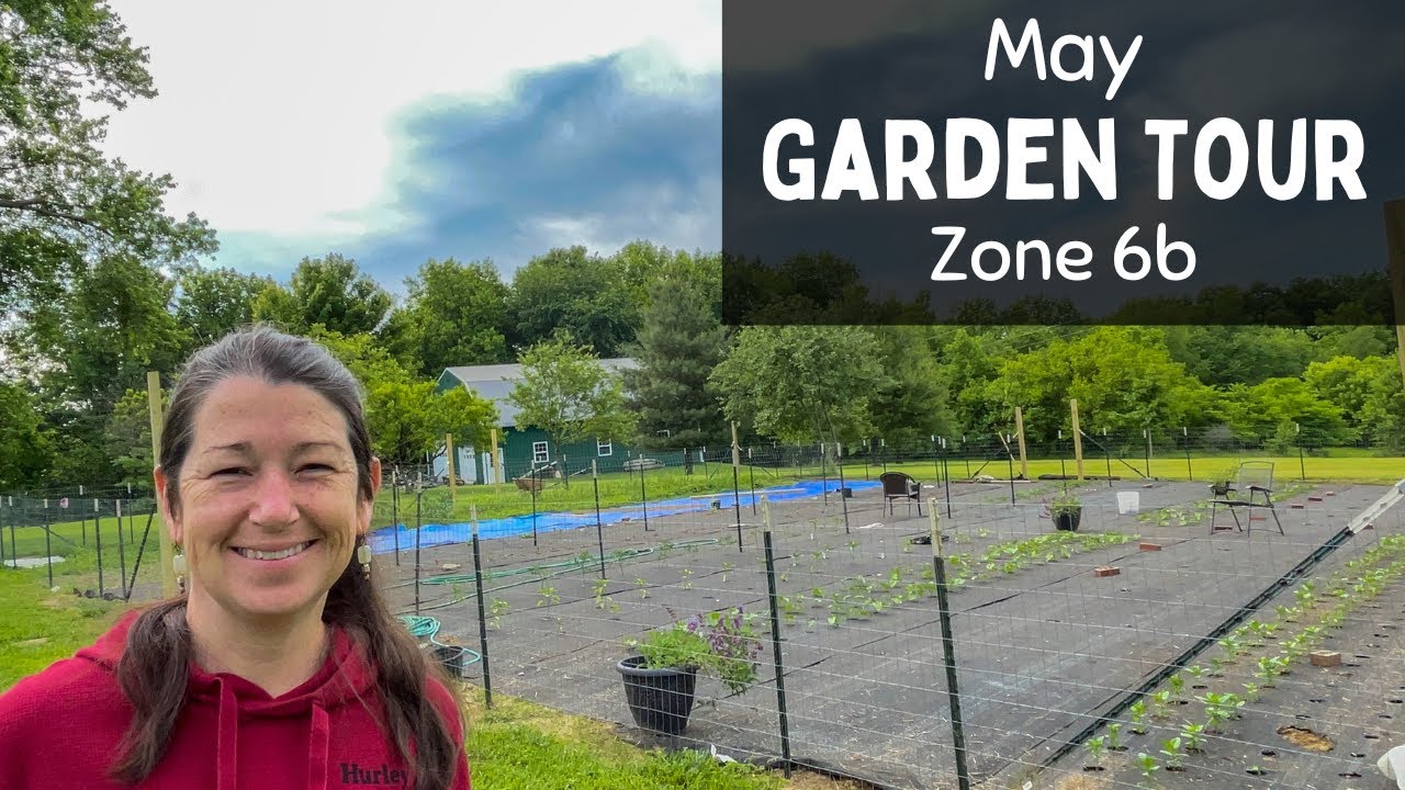Late May GARDEN TOUR Zone 6b Kentucky USA - YouTube