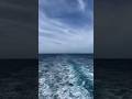 Один день из жизни моряков торгового флота #shorts #шортс #sea #моряки #life