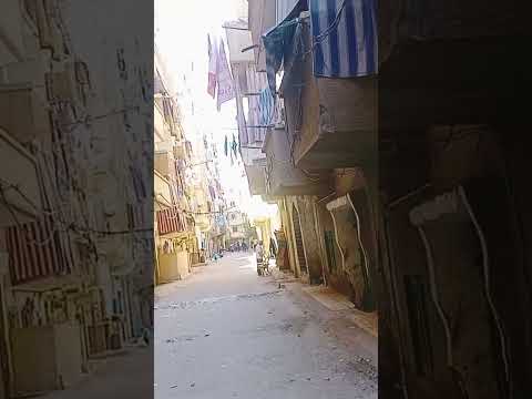 شارع أبو بكر الصديق والشوارع المحيطة به في البيطاش العجمى الإسكندرية