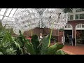 Ч2. Прогулка по ботаническому саду Питсбург, Пенсильвания , орхидеи и русский магазин ❤️😁