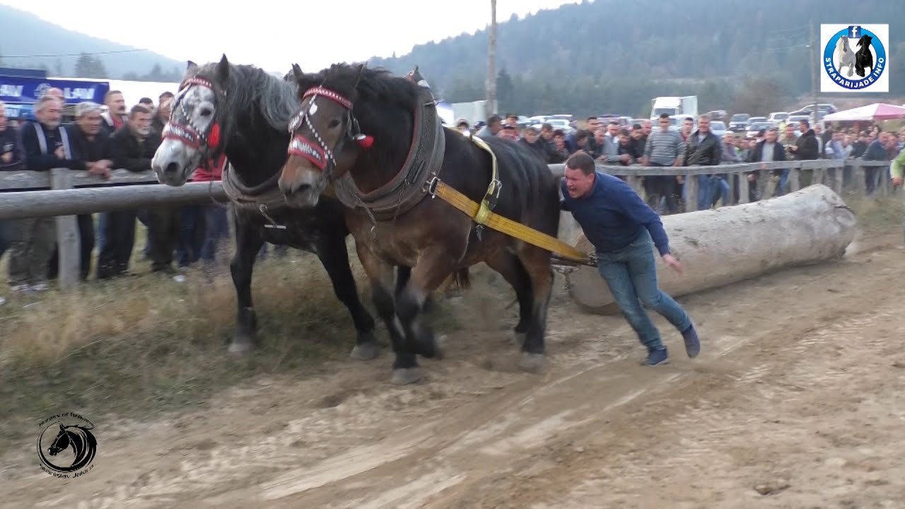 -Tarzan i Herkules na krovu Balkana u finalu Drinića -